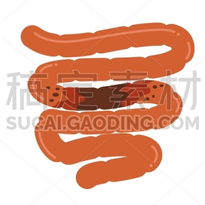 Intestine Infection