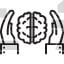 Brain