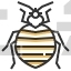 Bedbug