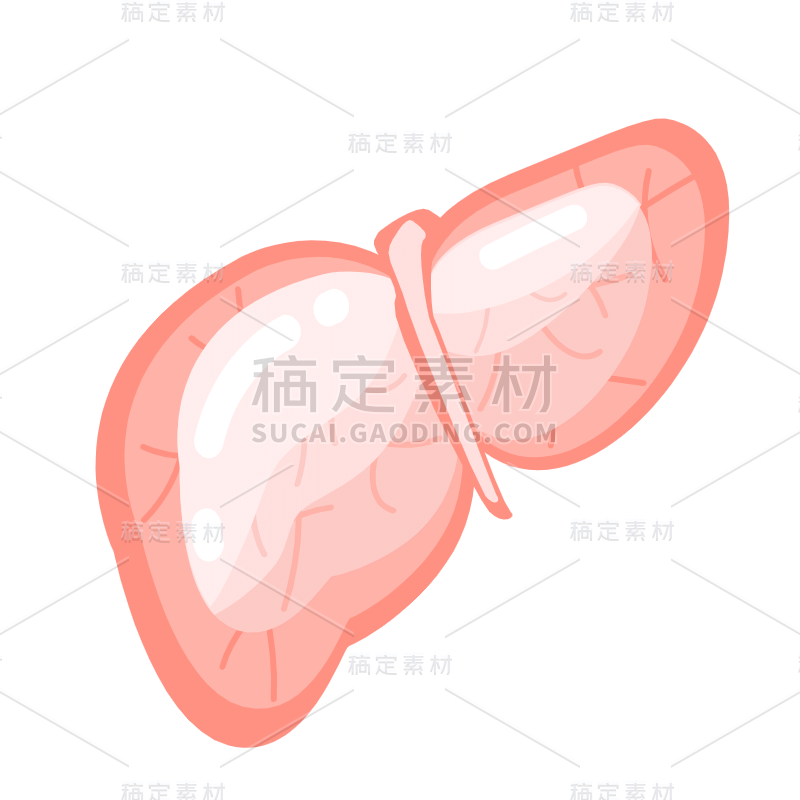 卡通风人体器官贴纸