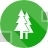 Ecology, Environment, Nature, Garden, Tree, Pine, Christmas