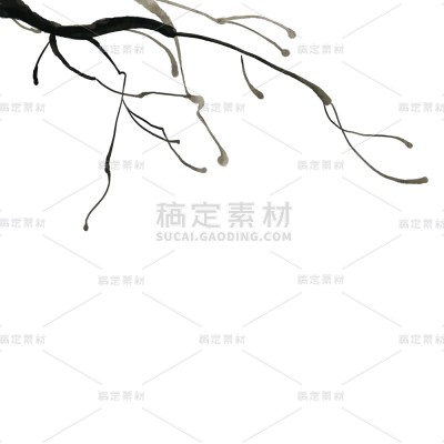 中国风-重阳节插画-树枝