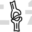 Broken Joint