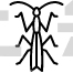 Mantis