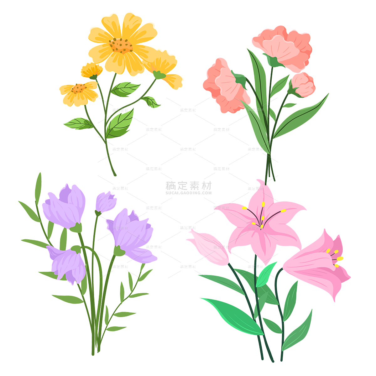手绘水彩植物花卉元素6