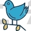 Sparrow