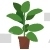 Rubber Potted Plant
