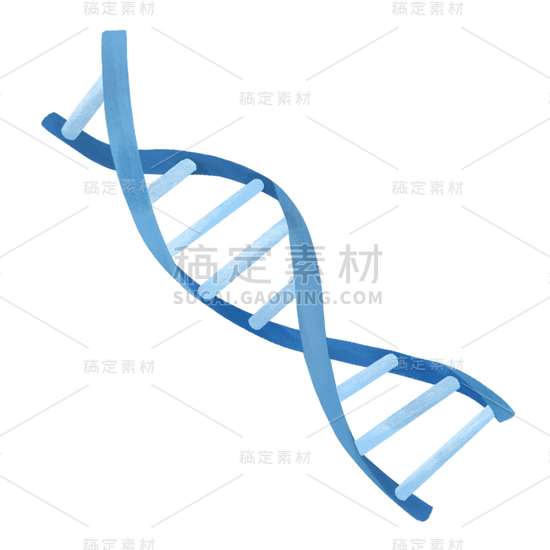 手绘-初高中课程辅导贴纸-DNA