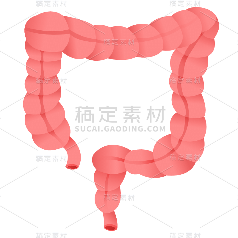 扁平-器官元素医疗贴纸-SVG-大肠
