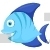 Blue Tang Fish