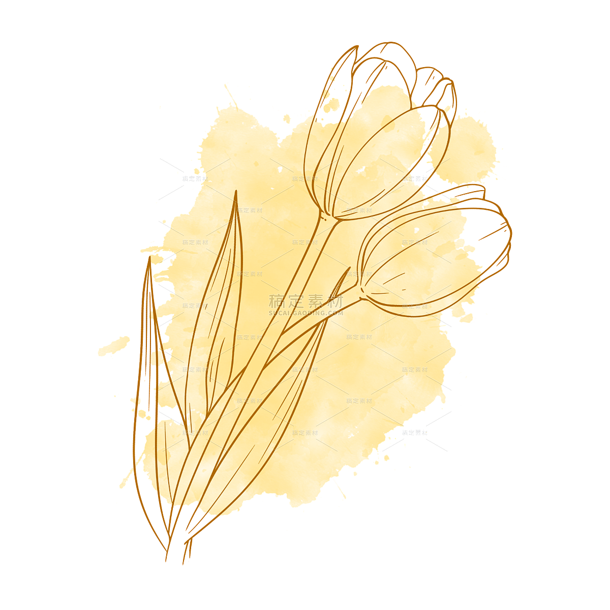 黄色手绘线条线稿花卉元素