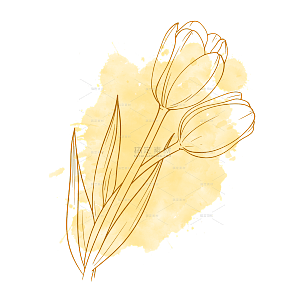 黄色手绘线条线稿花卉元素