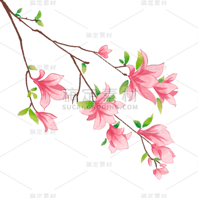手绘-水彩花卉植物贴纸4