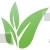 Wild Leaves Design