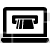 Online Payment