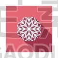 Snowflake