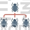 Virus spamming