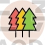 Pine