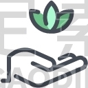 hand lotus