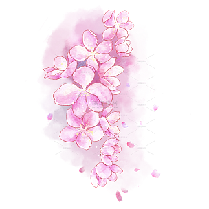 手绘粉色水彩樱花花朵插画元素4