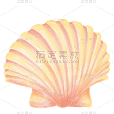 手绘-清新梦幻海洋元素贴纸-贝壳4