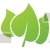 Lilac Leaf Design