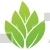 Leaves Design