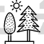 Evergreen Trees