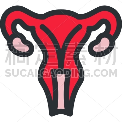 Uterus