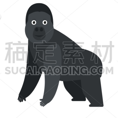 gorilla
