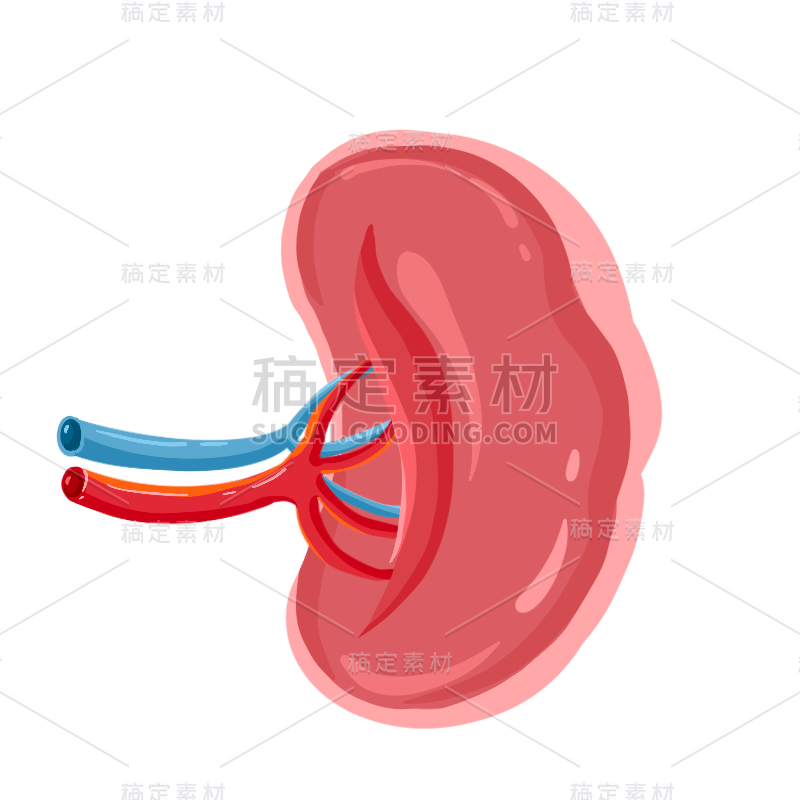 手绘-人体器官元素医疗贴纸24
