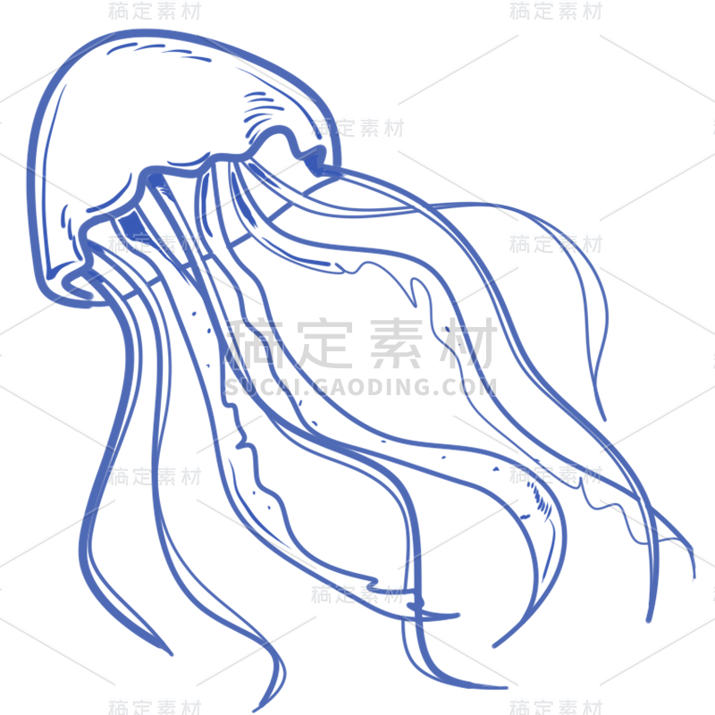 手绘-航海创意贴纸-水母