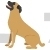 English Mastiff