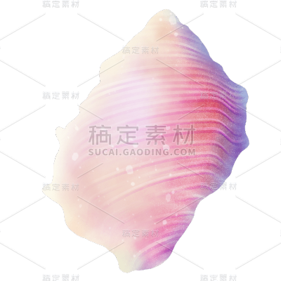 手绘-贝壳元素贴纸3