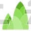 bamboo shoot
