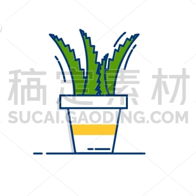 aloevera