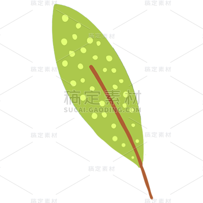 手绘-植物元素贴纸-树叶2