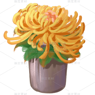 手绘油画风格黄色菊花花朵元素