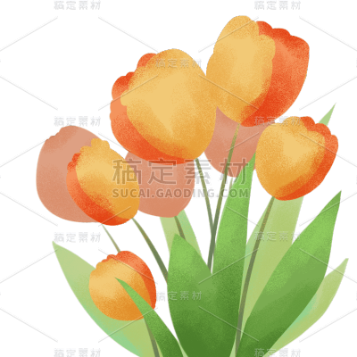 手绘-清新郁金香贴纸4
