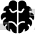 Brain