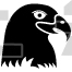 Crow
