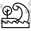 tsunami