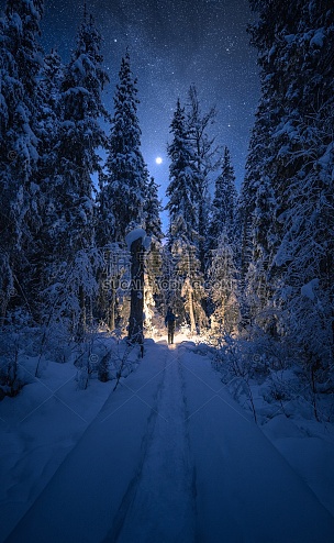 冬季星空夜晚下野外树林中的荒野猎人