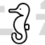 Seahorse