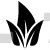 Leaves Design