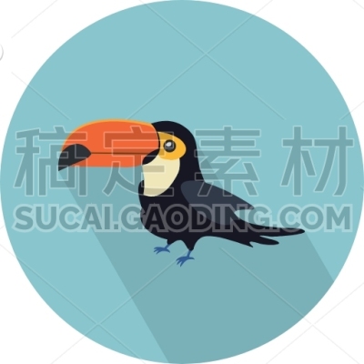 Toucan