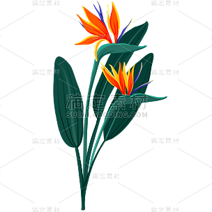 手绘-清新花卉植物元素贴纸5