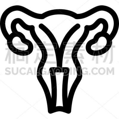 Uterus