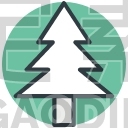 Pine
