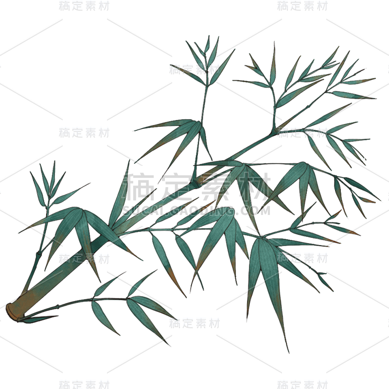 手绘-工笔画竹子植物贴纸10